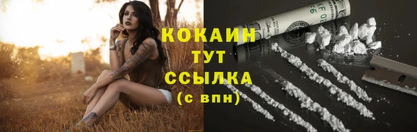 прущий лед Алексин