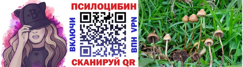 Галлюциногенные грибы мицелий  MEGA вход  Спас-Клепики 